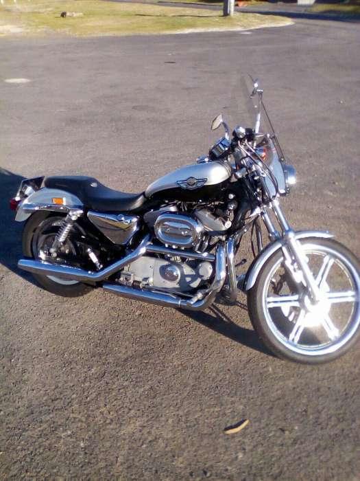 Harley Davidson custom centenary 883 collectable