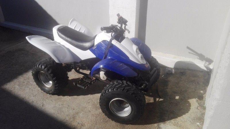 110cc Quad bike great for the kids!