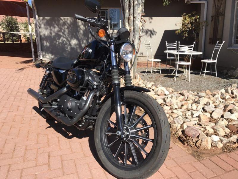 Bargain! 900km Harley Sportster Iron
