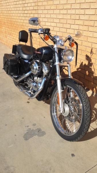 Harley-Davidson sportster 883 Low for sale