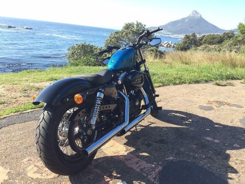 2015 Harley-Davidson Forty-Eight Sportster Blue