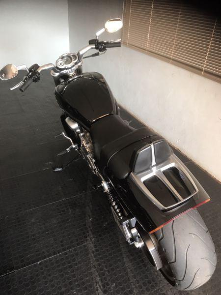 Harley V Rod Muscle 2012. R 155,000 neg