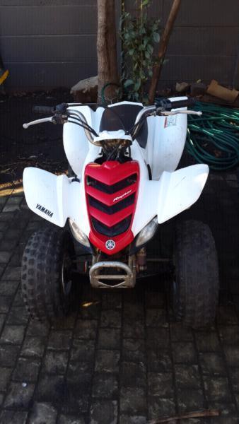 Raptor 80cc Yamaha Quad for sale at BF Motorcycles