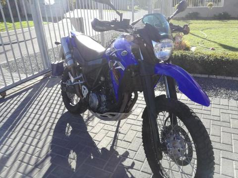 Yamaha xt660r in immaculate condition
