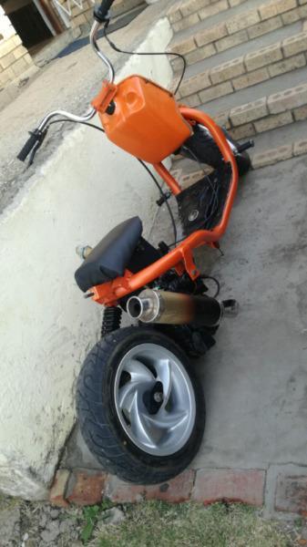 Ruckus for sale