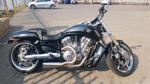 Harley Davidson VROD MUSCLE