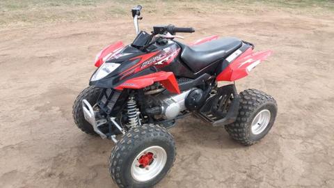 250cc 4stroke fully automatic arctic cat in mint condition