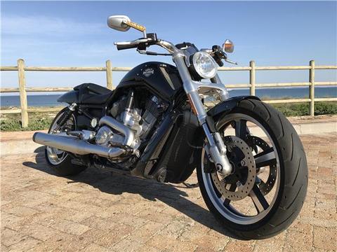 2014 Harley Davidson V-Rod Muscle - The Viper Lounge