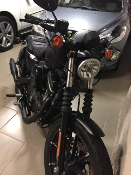 URGENT SALE Harley-Davidson 883 Iron