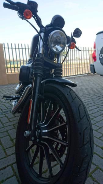 Harley Davidson 883 Sportster 2013