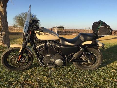 2014 Harley-Davidson Sportster Iron