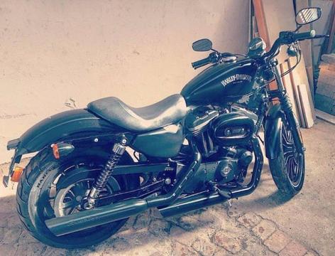 2012 Harley-Davidson Iron 883 Dark Custom Softail