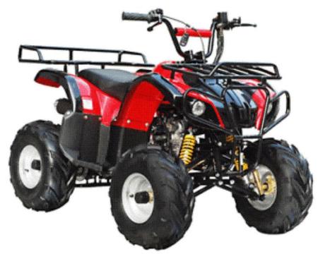 BRAND NEW 110CC QUAD BIKE ATV. Forward and reverse. Can carry 120kg Great fun for getting around