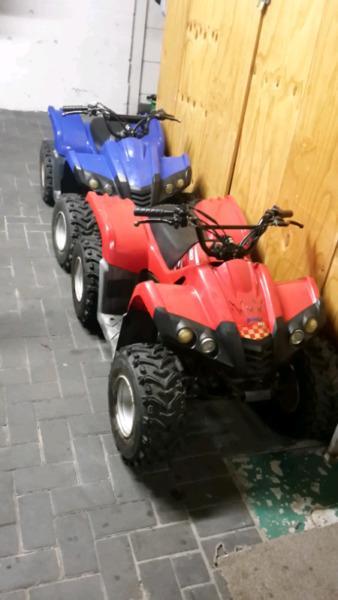 Denli quads 50cc