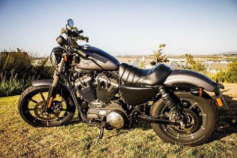 2016 Harley-Davidson Sportster