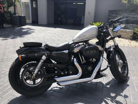 Harley 48 mint