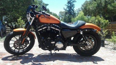 2014 Harley Davidson 883 Iron