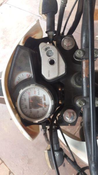 BigBoy TSR 125