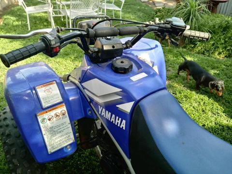 Yamaha Blaster 200cc 2 Stroke