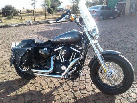 2015 Harley-Davidson Sportster
