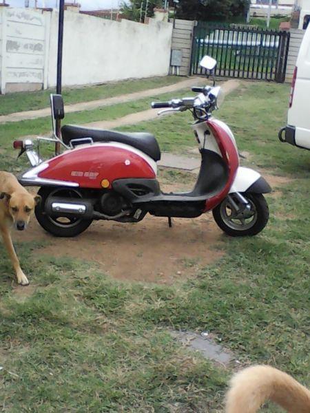 Big Scooter