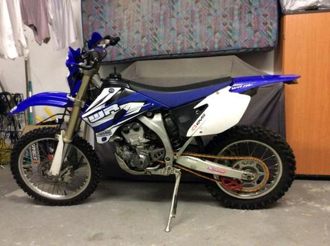WR 250 - Low Kilos with papers (very neat)
