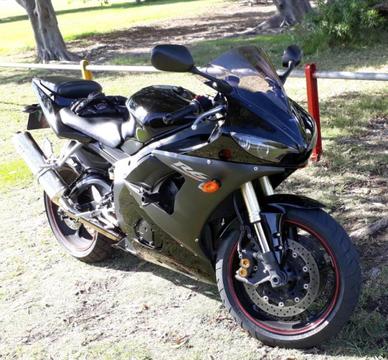 Yamaha-YZF R6 (Tip top condition)