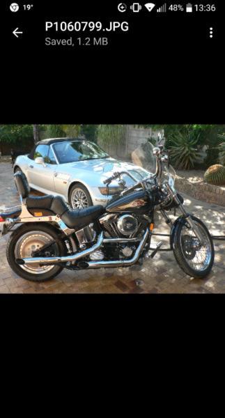Harley Davidson for sale