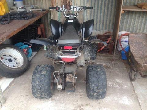 200 cc Chinese Quad