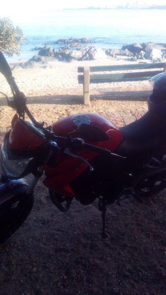 Sum T1 125 wolf 2017 Scooter with rwc
