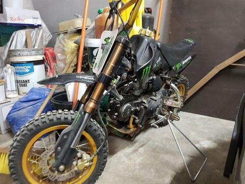 Puzey 125cc Pitbike