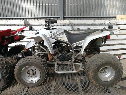 Yamaha Blaster 2007