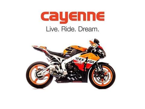 2009 Honda CBR 1000 RR Repsol