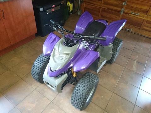 HER CHEE 110cc purple Quad for sale Self Stater, Automatic