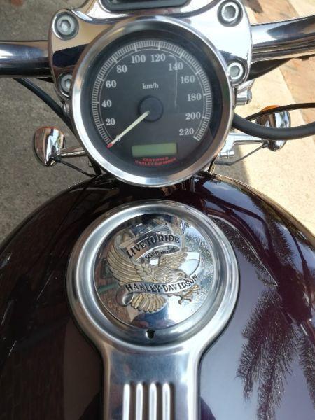 2006 Harley-Davidson Sportster very need condition with extras and custom features