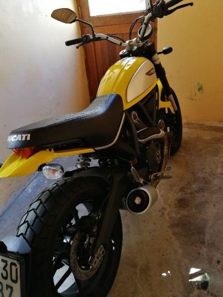 Ducati Scrambler Icon Yellow 800kms realistic offers welcomed