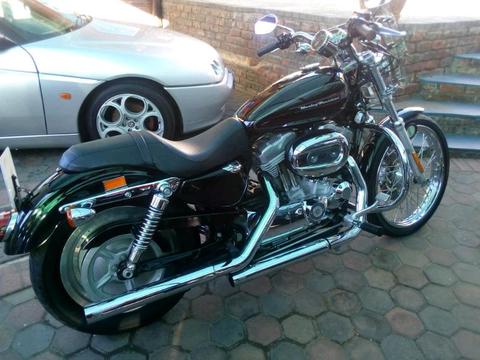 Harley Davidson Custom 883 Sportster