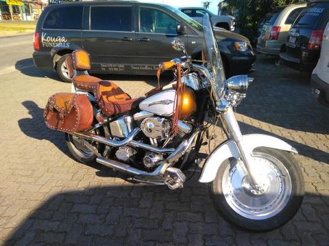 Amazing Harley Davidson Fatboy