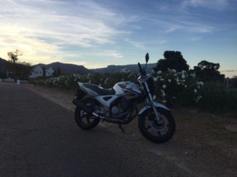 2008 Honda CBX 250