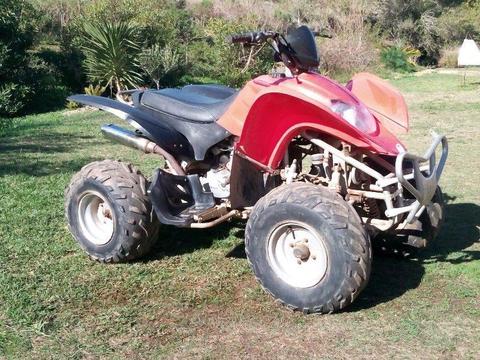 Quad 4 wheeler SKYGO