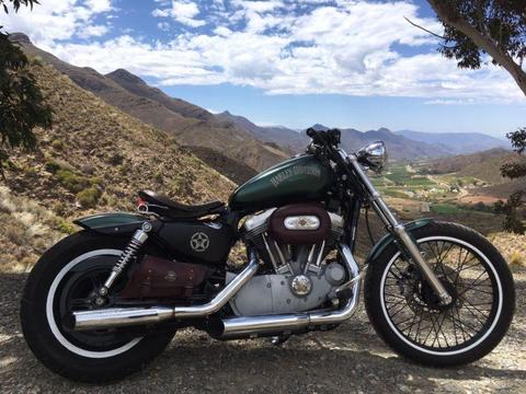 Custom Harley Davidson Roadster