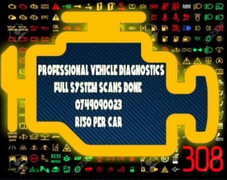 Vehicle diagnostic