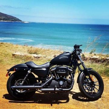 2015 Harley-Davidson Sportster 883 Iron