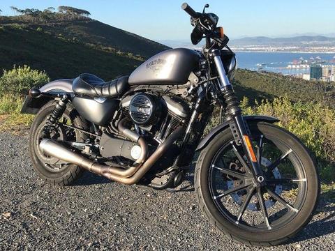 2016 Harley-Davidson Sportster - Iron 883