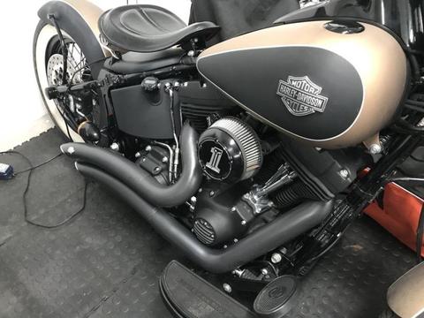 Custom Harley Softail Slim