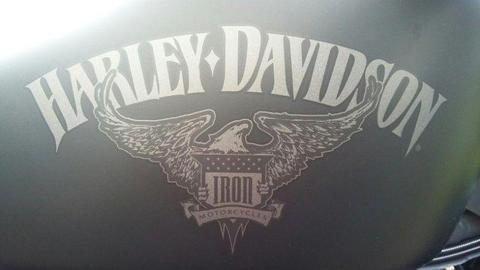 2016 Harley-Davidson Sportster 883 Iron