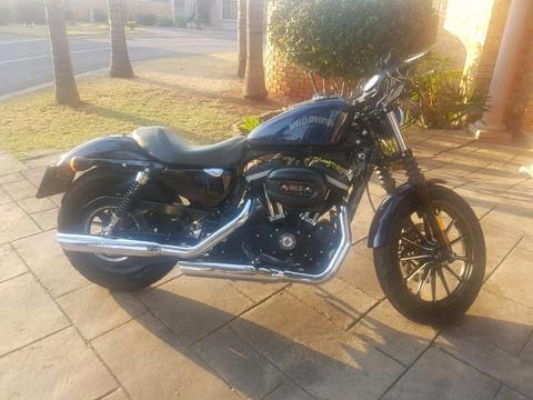 2013 Harley Davidson Sportster XL883N