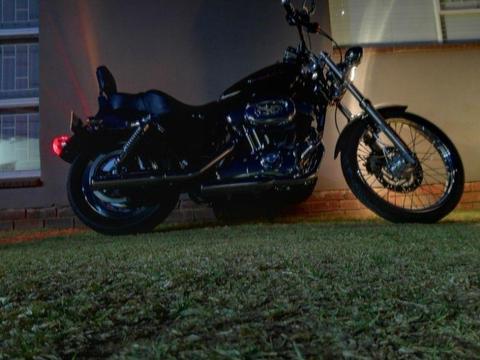 1200 2009 Harley-Davidson Sportster