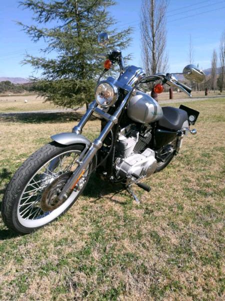 883 Harley Davidson Sportster for sale