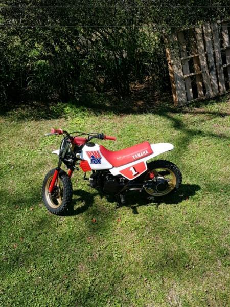 LOOKING FOR A PW 50 AS PER PIC